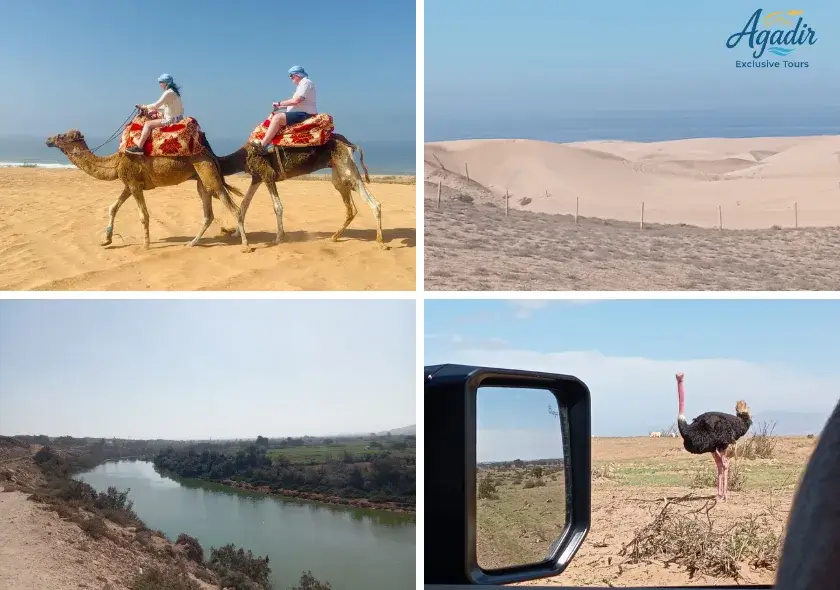 Excursion privée au Parc National & Massa Safari – Déjeuner chez l’habitant