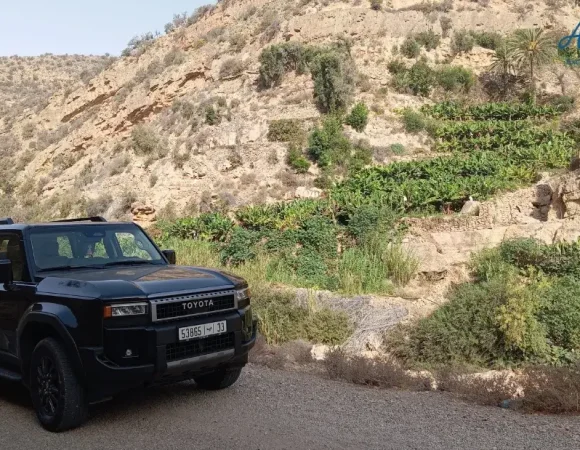 Pourquoi choisir une excursion privée à Agadir plutôt qu’un tour en groupe ?